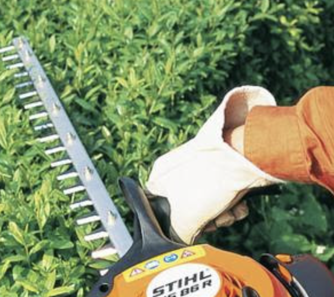 Élagueur à Boutigny-sur-Essonne en pleine intervention